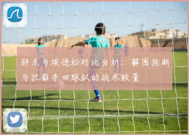 胖虎与埃德松对比分析：解围抢断与拦截夺回球权的战术较量